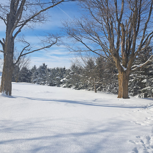 Tunnels or Garage Doors??