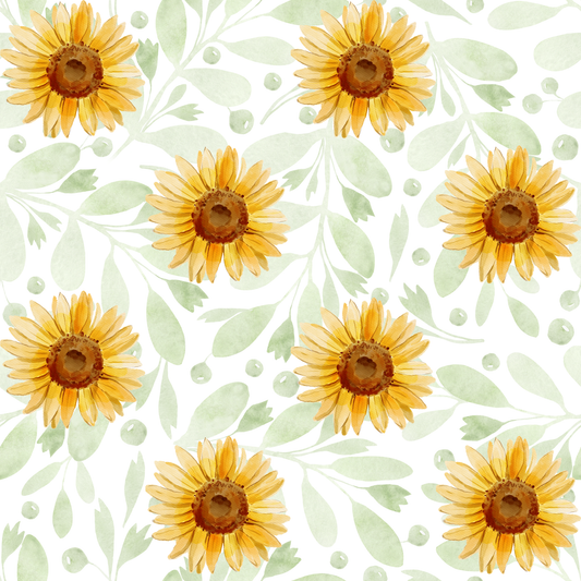 Sunflowers, SOLD BY HALF METERS