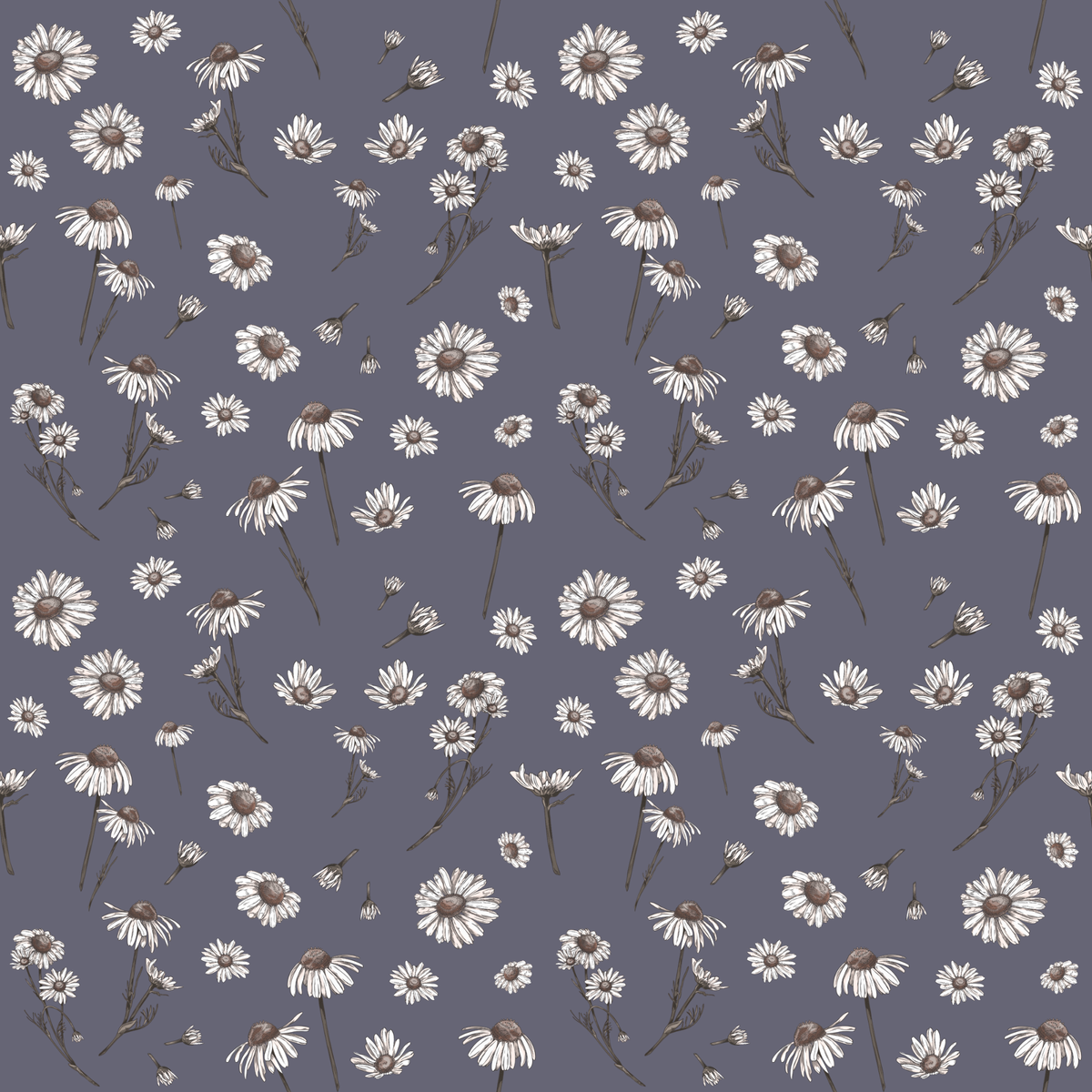 Wholesale Design