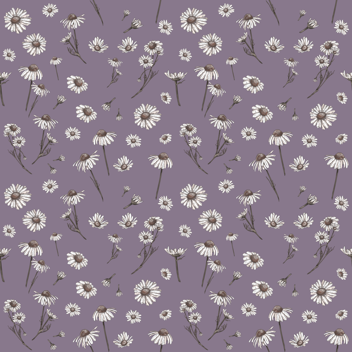 Wholesale Design